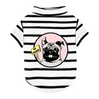 Dog clothes pet accessories cheap dog summer clothes sports dog clothes skirt