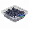 Plastic Fruit Container Clamshell Packaging Blister fruit salad Packaging For Blueberry Tomatoes 125 Gram Plastic Box