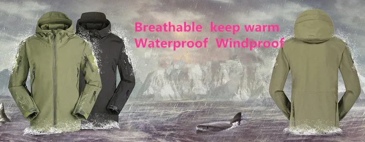 4079511363_1101723300_