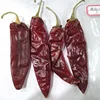 High Quality New Crop Fresh And Frozen Red Hot Chili Pepper
