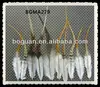 Wholesale Ginger Grizzly Rooster Feathers