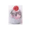 Opp Transparent Clear Cello Basket Large Cellophane Gift Bags