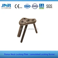 Femur Neck Locking Compression Plate With