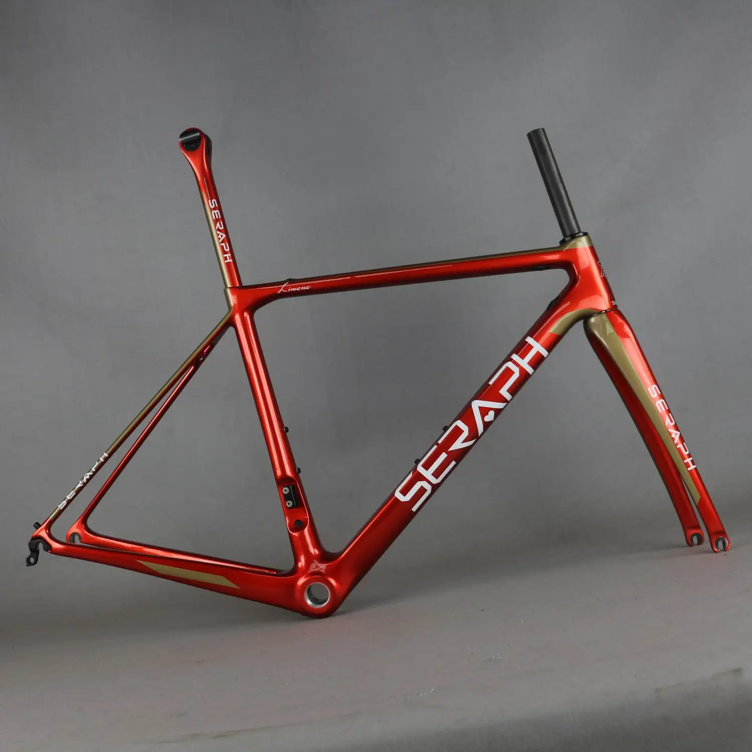 custom painted bike frame