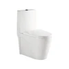 /product-detail/one-piece-s-trap-chinese-girl-bathroom-floor-mounted-washroom-wc-toilet-60864324036.html