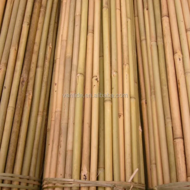 speckled bamboo pole