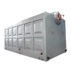 Szl Series Chain Grate Stoker Biomass Coal Steam Boiler Generator Wood Stove Boiler