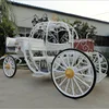 /product-detail/horse-carriage-manufacturer-used-cinderella-pumpkin-horse-carriage-for-sale-60538219014.html