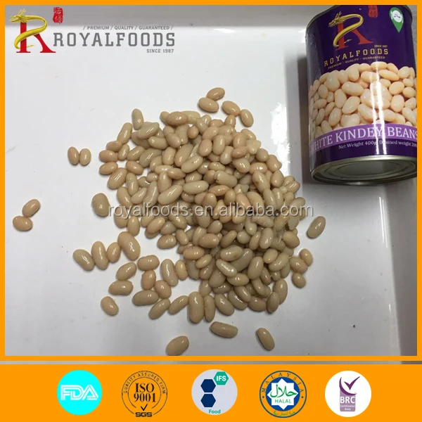 wholesale canned white kidney beans in tomato sauce in brine in