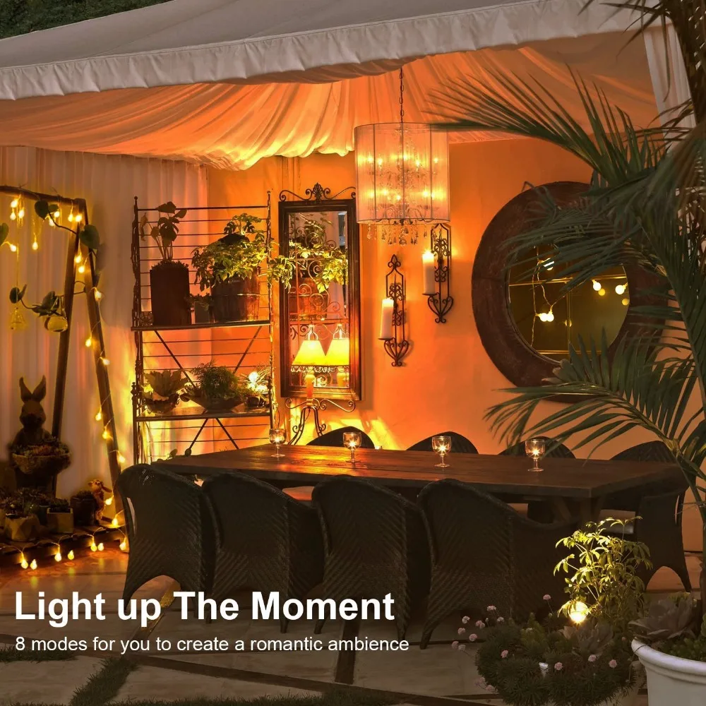 81wCCHTCMdL._SL1500_