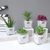 Best Sellers wholesale artificial flower fresh and natural Succulent plants glass vase for home decor wedding in 2019