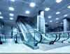 /product-detail/800mm-indoor-escalator-cost-60830108695.html
