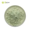 /product-detail/natural-plant-total-saponins-aloe-vera-extract-60788134604.html