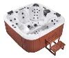 4m 5 person Spa Hot Tub Massage Outdoor SPA Hot Tub with Video