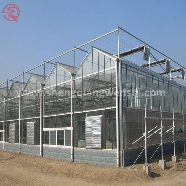 High quality multi-span polycarbonate sheet commercial greenhouse