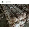 /product-detail/10-40cm-high-yield-shiitake-mushroom-logs-fungi-growing-for-cultivating-60804465168.html