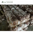 10*40cm High yield shiitake mushroom logs fungi growing for cultivating