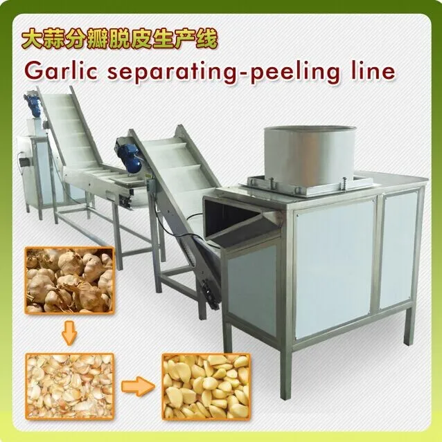 2 garlic peeling machine.jpg