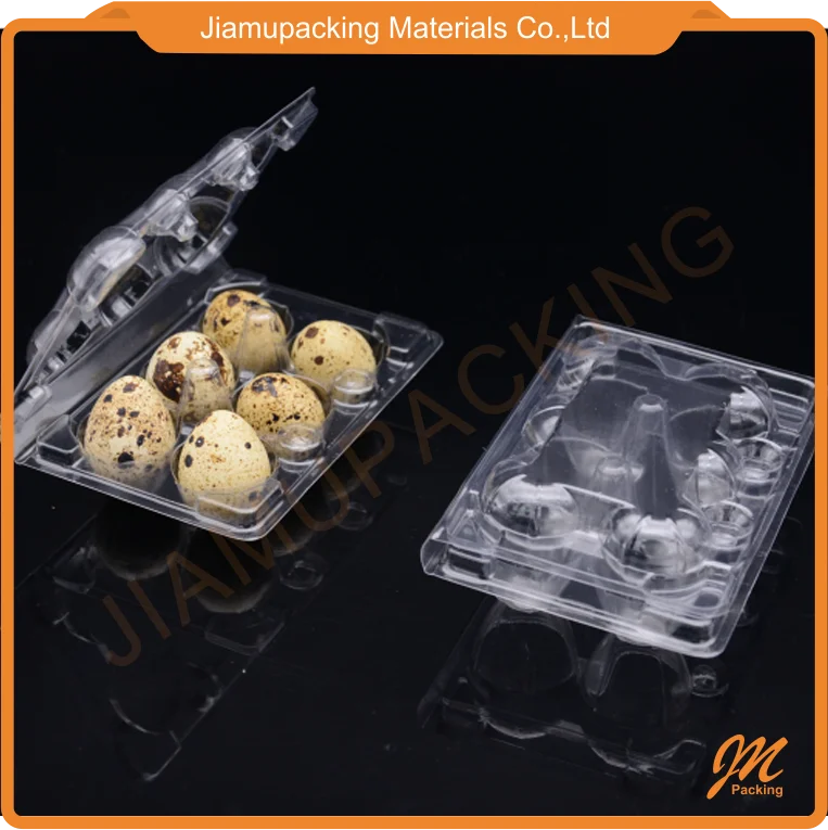 6 hole quail egg tray.png