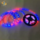 DC 12V flexible strip led with IC pixel poi rgb dmx for bar decorative lighting