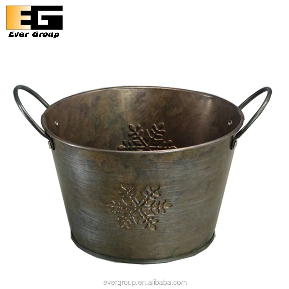 Home Garden Outdoor Or Indoor Plant