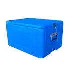 plastic wholesale foam fish ice cooler box vaccine blood medicine transport coolers box