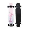 /product-detail/colorful-longboard-deck-board-carbon-fiber-skateboard-for-teenager-62133991484.html