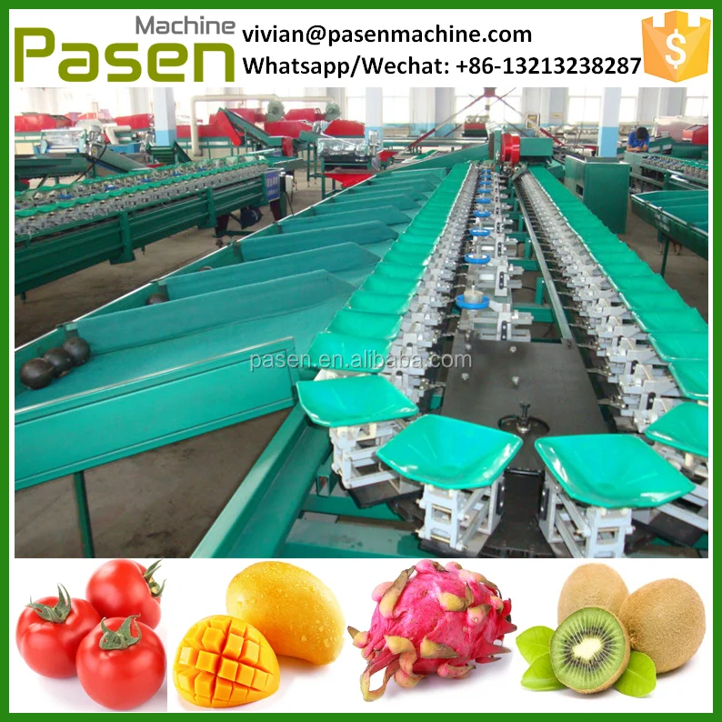 Fruit Weight Sorting Machine6