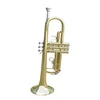 Best Selling Products Golden Brass Bb Intermediate Trumpet
