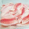 Hot Sale Frozen CO Treated Tilapia Fillet With Normal Trimmed