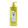 Wholesale Yozzi natural olive hair shampoo for adults