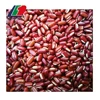 Small Round Red Beans, Types Red Beans, Small Red Kidney Beans