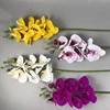 /product-detail/real-touch-latex-artificial-phalaenopsis-orchid-flower-high-quality-3-d-printing-orchid-60791314684.html