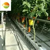 /product-detail/low-cost-high-quality-hydrophonic-greenhouse-60795506456.html