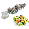 500-1000KG Automatic leaf Vegetable lettuce cabbage washing cutting cutting production line