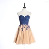 /product-detail/graduation-party-sweetheart-sexy-floral-appliqued-tulle-short-prom-dresses-62171254101.html