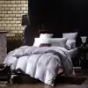 popular hotel bed linen sheet set down quilt / comforter/ down duvet