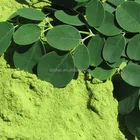 Moringa Oleifera Vitamins Organic Moringa Oleifera Tablets Natural Multi Vitamin Superfood Choose Size