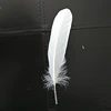 M-1 Raw material withe Duck Feather