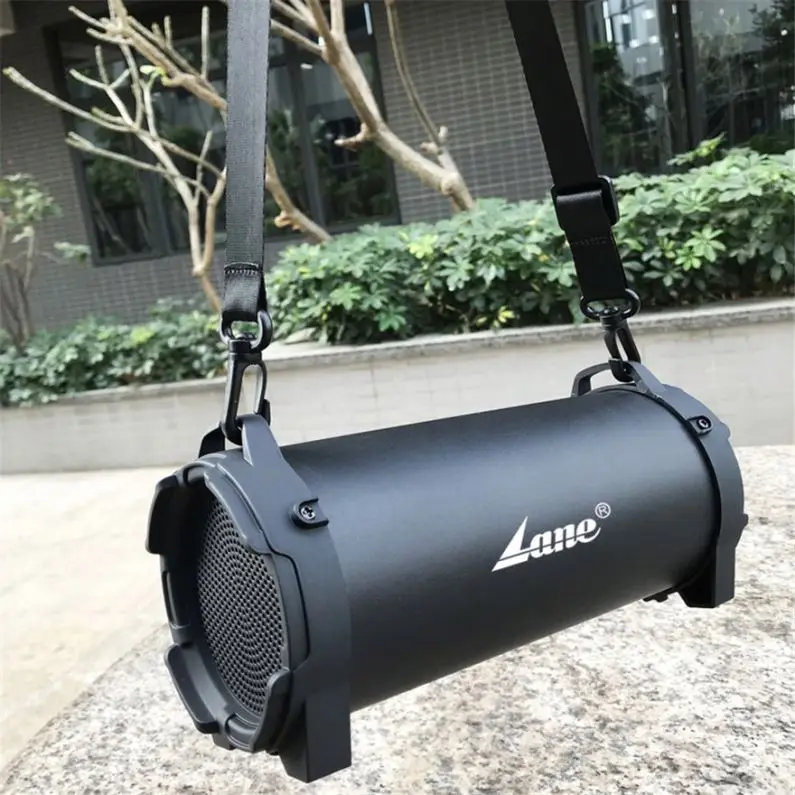 Professional 150W Portable Speaker SL-10 - ANKUX Tech Co., Ltd