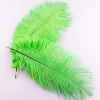 charming top quality cheap new all size dyed color ostrich feather
