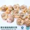Fishing Seafood White Clam Vacuumied Seafood Supplier