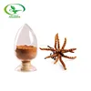 /product-detail/100-pure-natural-chinese-cordyceps-extract-yarsagumba-extract-cordyceps-mycelium-extract-60792292100.html