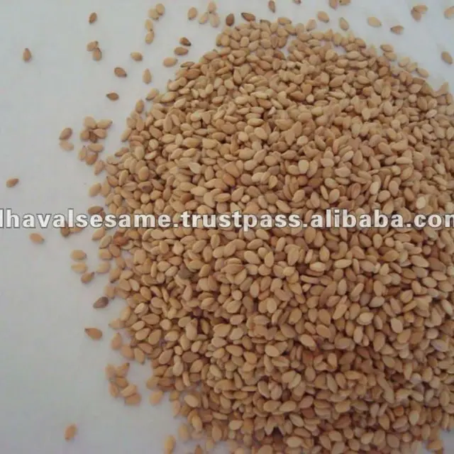 whitish roasted sesame seeds