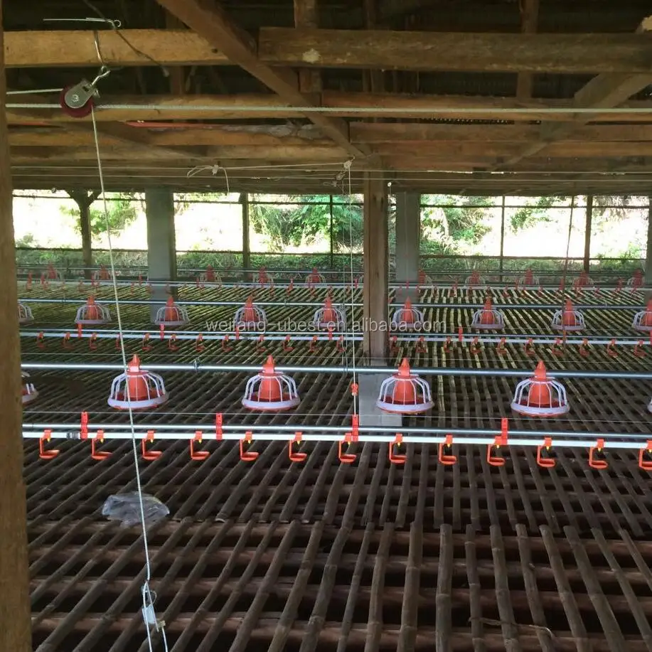 Poultry House For 10000 Chickens Broiler Chick Poultry Nipple