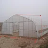 Commercial used commerica greenhouse for agriculture