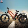 Electric fat tire cargo tricycle for adult