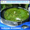 /product-detail/cheap-fish-farm-equipment-china-hot-selling-tilapia-fish-farming-equipment-60654594324.html