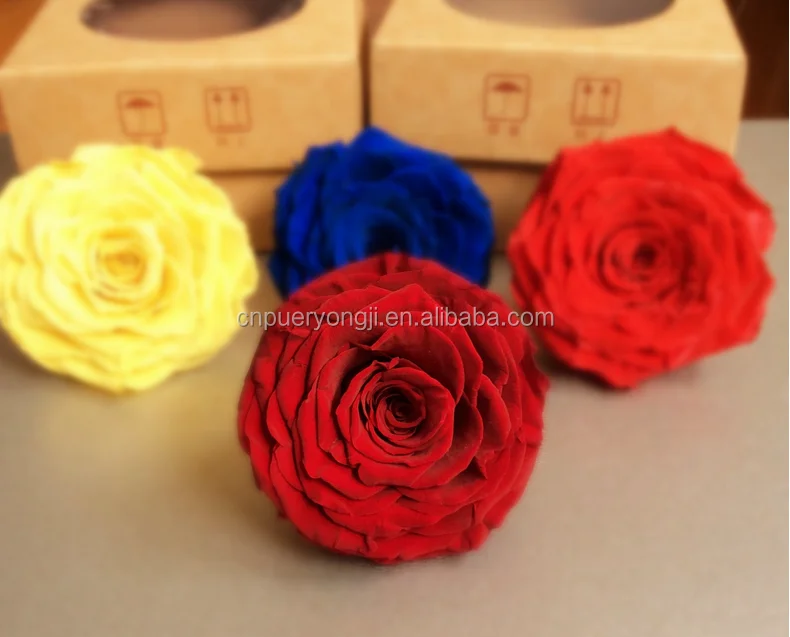 natural fresh cut flowers wholesale preserved roses christmas