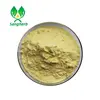 /product-detail/gmp-haccp-top-quality-food-supplement-ginkgo-biloba-extract-for-health-beverage-additive-60767340269.html